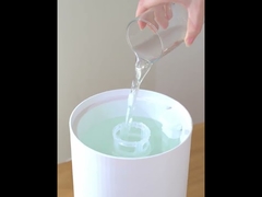 Decorative Essential Oils Scent Diffusers For Home And Office