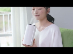 Quiet Bedroom Air Humidifier 280ml Tank USB 2 Mist Modes