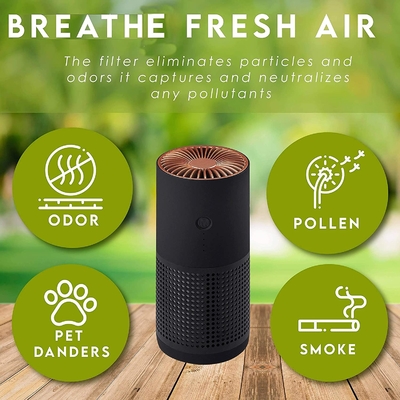 Humo negativo de las alergias del polen de H13 H12 HEPA Ion Portable Air Purifier For