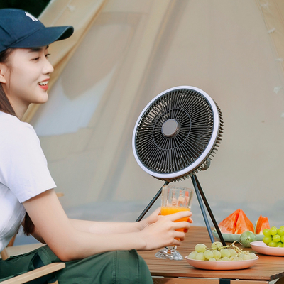 Las fans permanentes 5W 10000mAh del piso recargable llevaron la fan ligera teledirigida